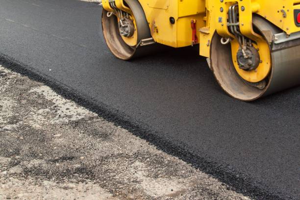 Best Local Driveway Pavers  in St Paul Park, MN
